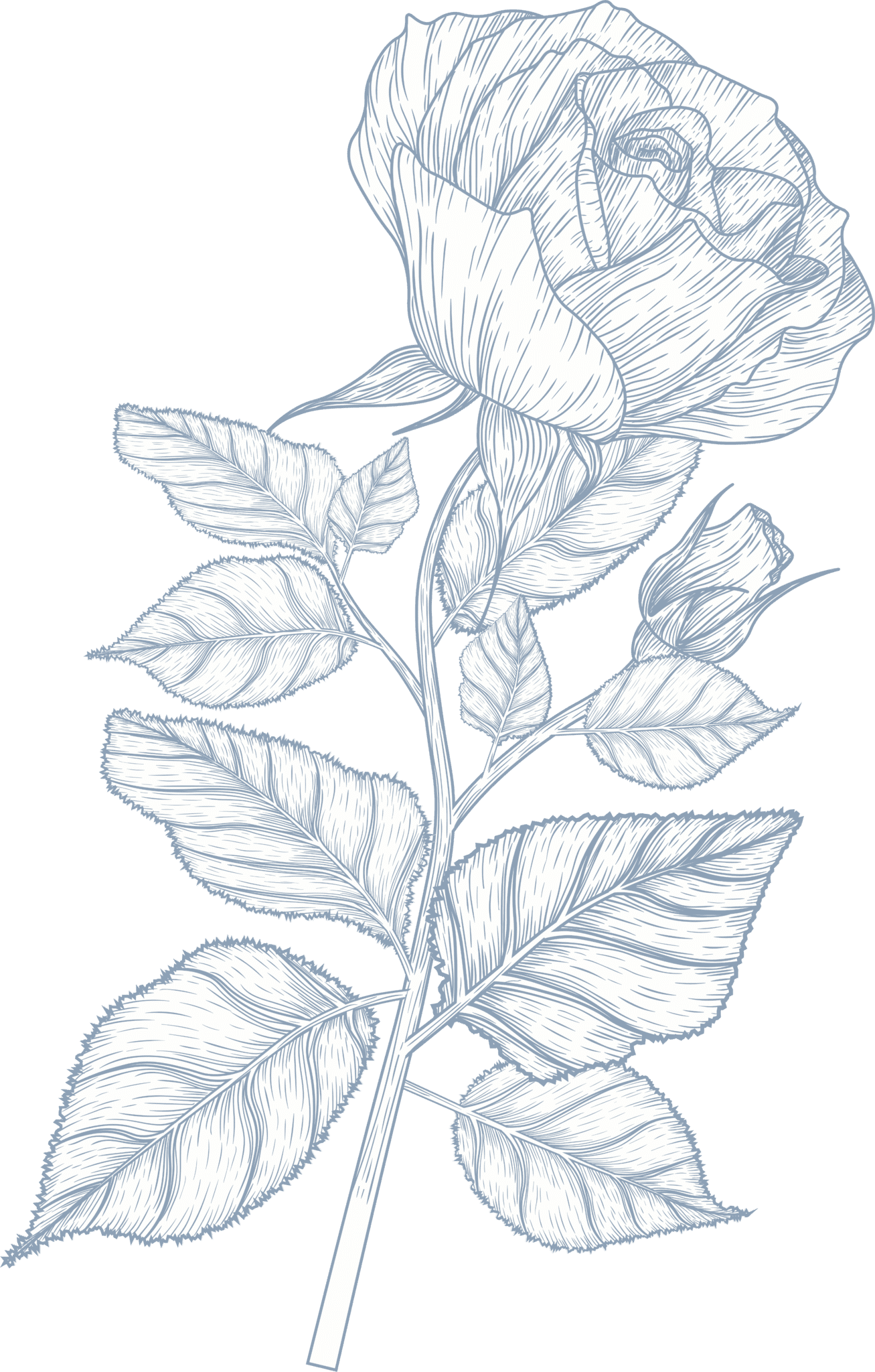 Ornament 3
